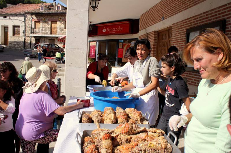Fiesta de la vendimia en Castrillo de Don Juan (Palencia)