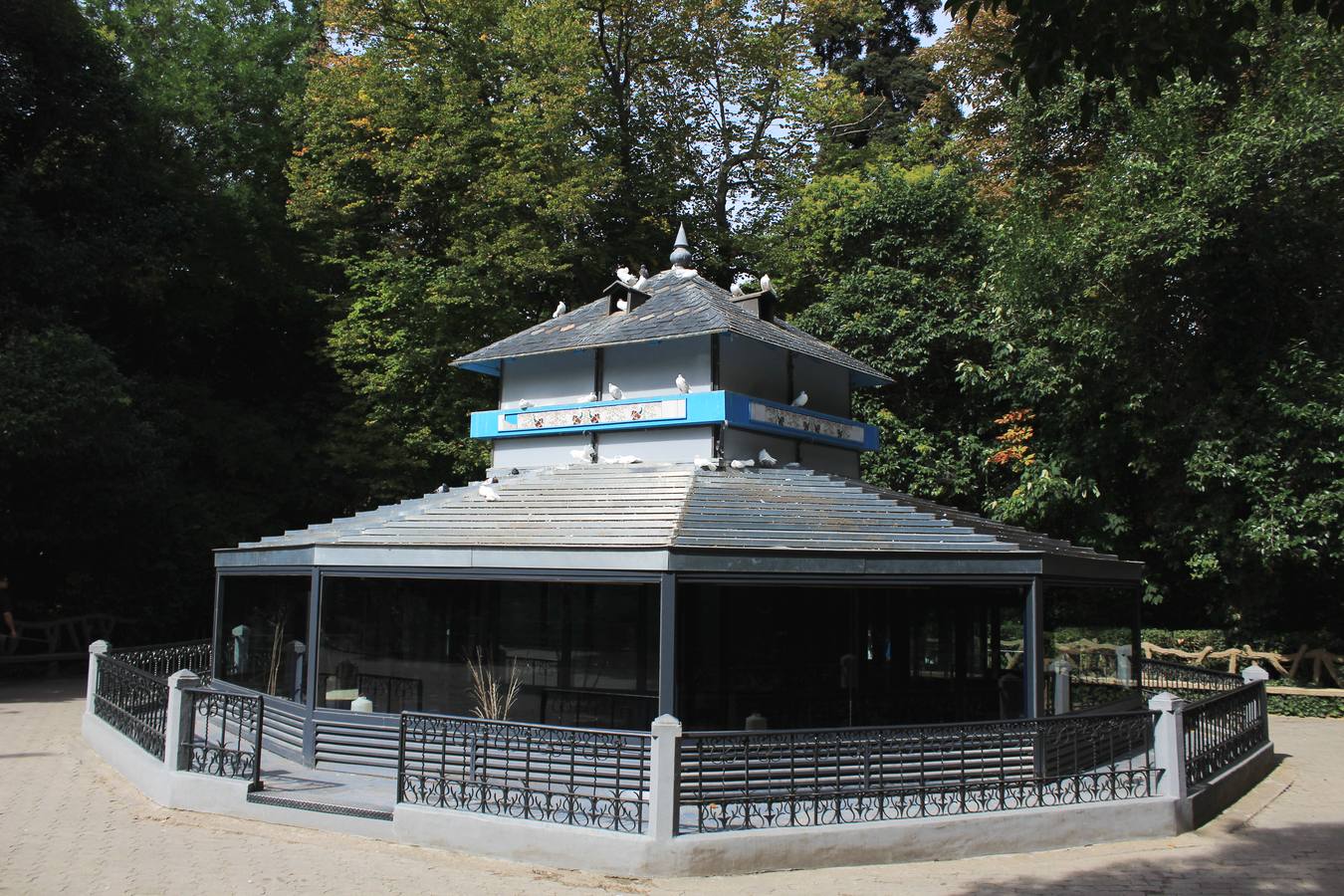 Un paseo en otoño por el Campo Grande