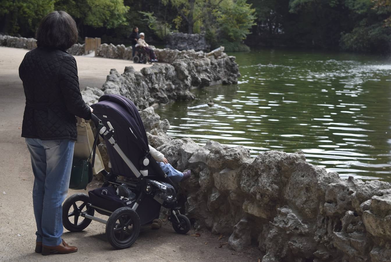 Un paseo en otoño por el Campo Grande