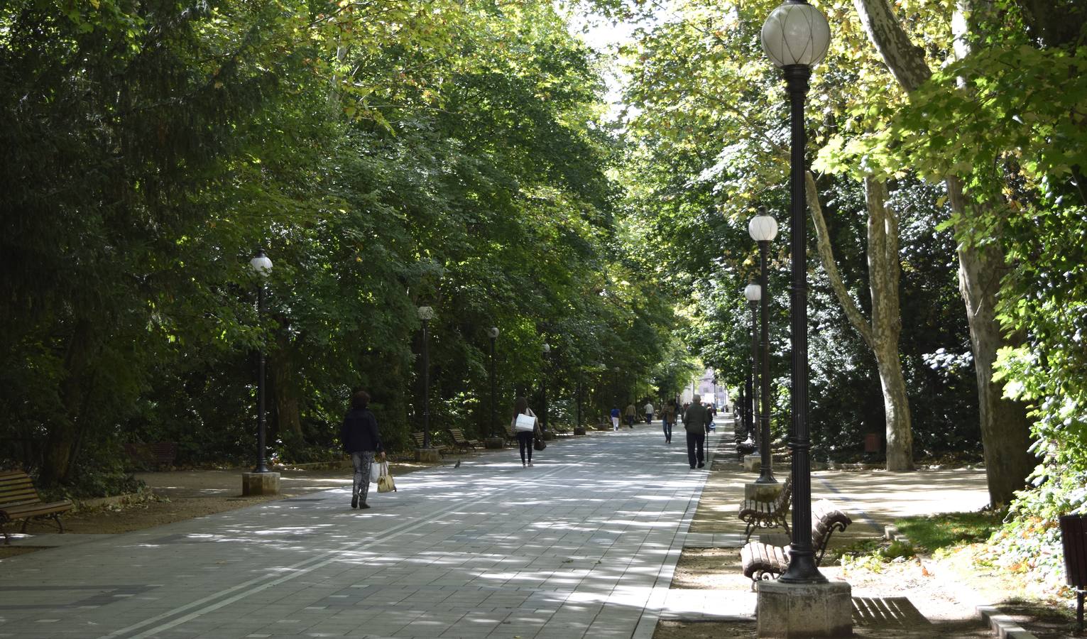 Un paseo en otoño por el Campo Grande