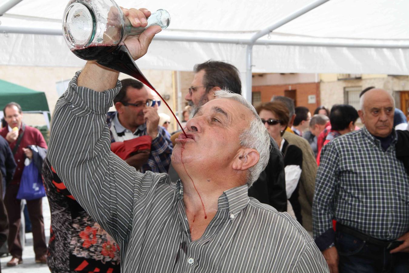 VII Cata popular de quesos en Sardón (Valladolid)