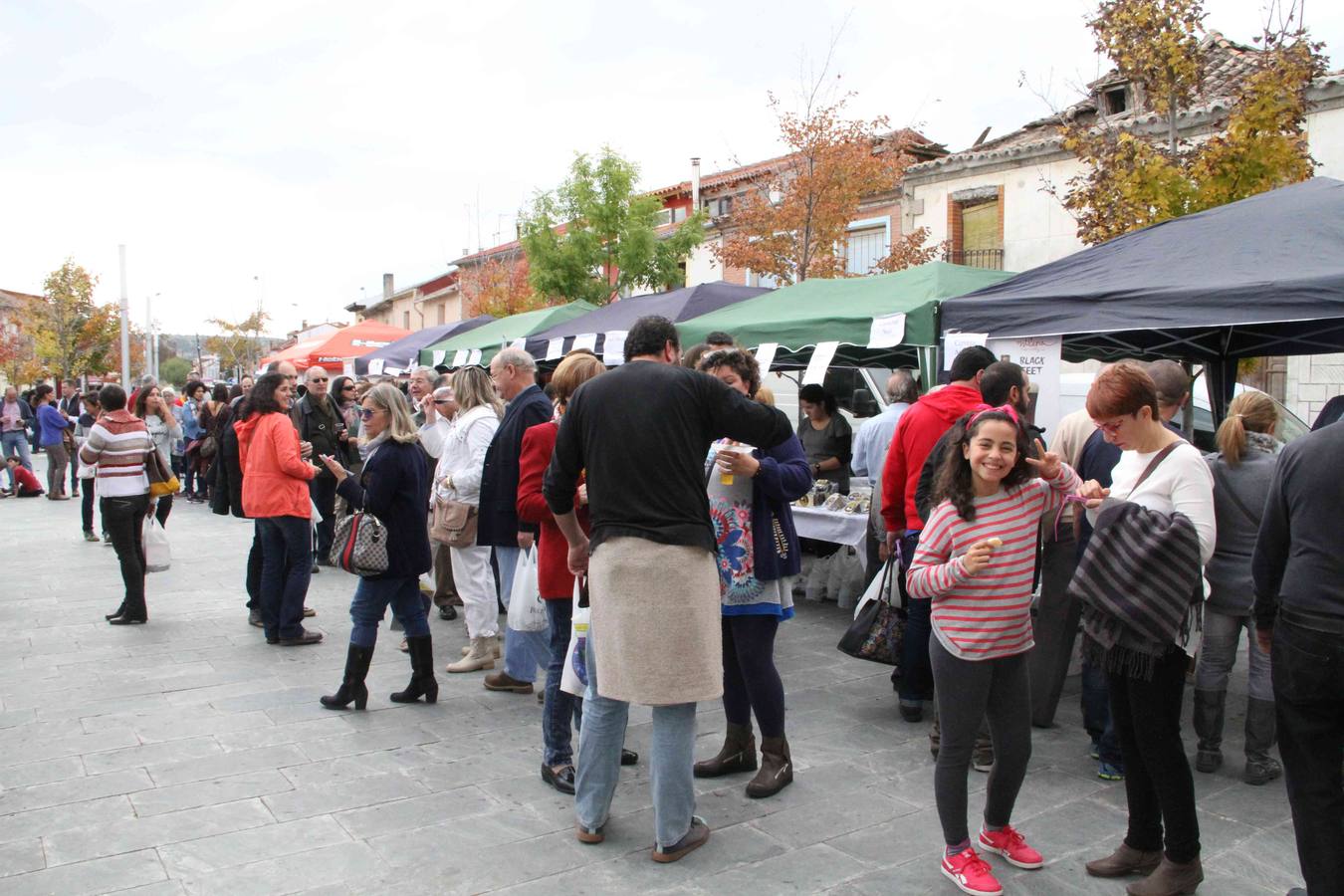VII Cata popular de quesos en Sardón (Valladolid)