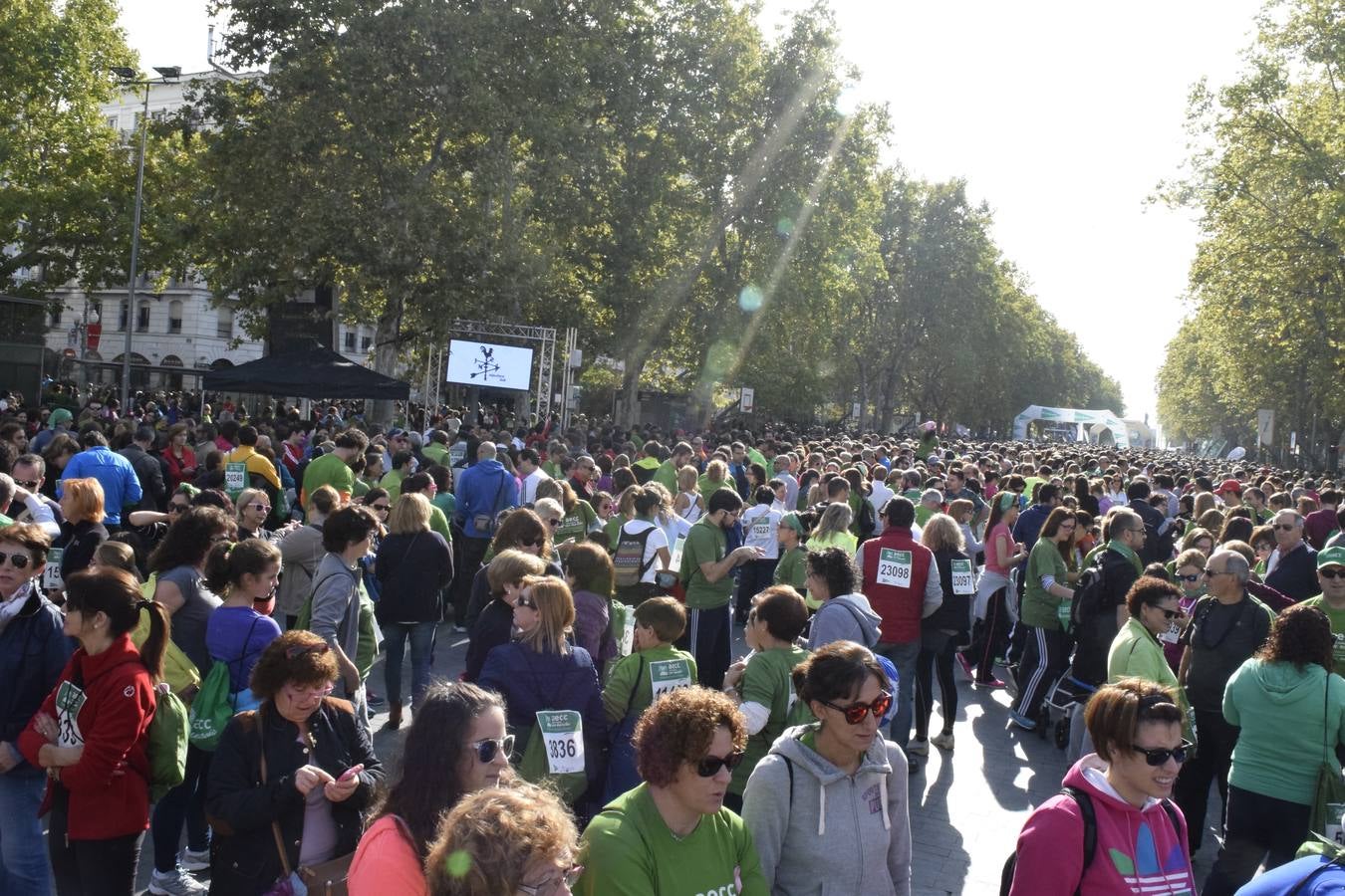 Marcha Contra en Cáncer 2015. Valladolid 2