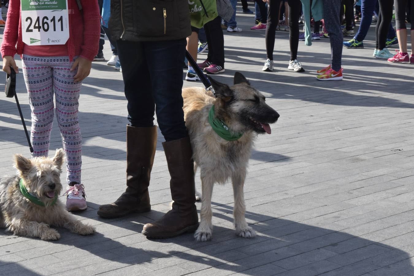 Marcha Contra en Cáncer 2015. Valladolid 2