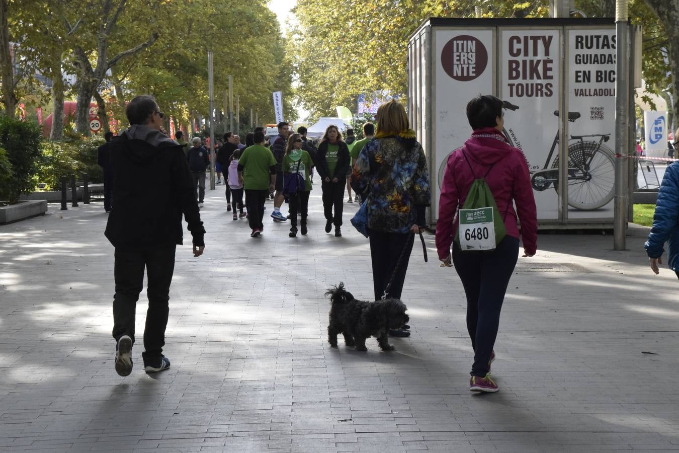 Marcha Contra en Cáncer 2015. Valladolid 2