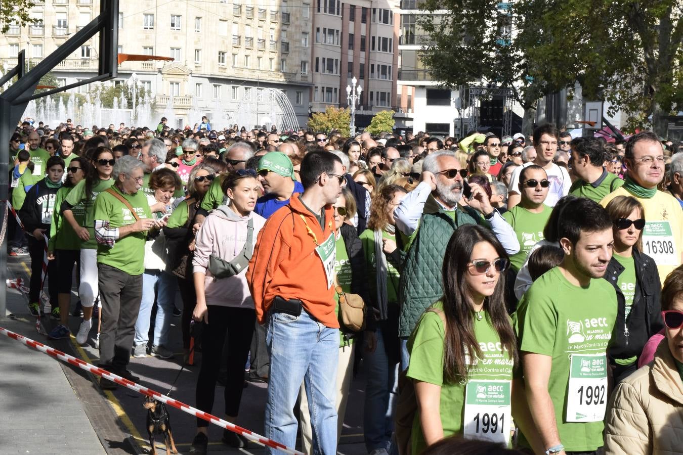 Marcha Contra el Cáncer 2015. Valladolid 3