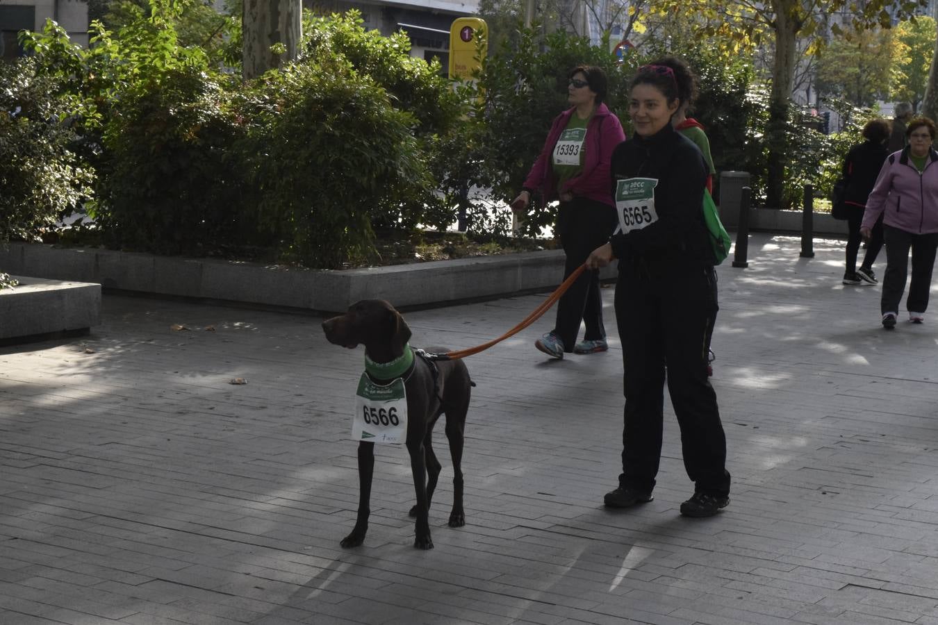 Marcha Contra el Cáncer 2015. Valladolid 3