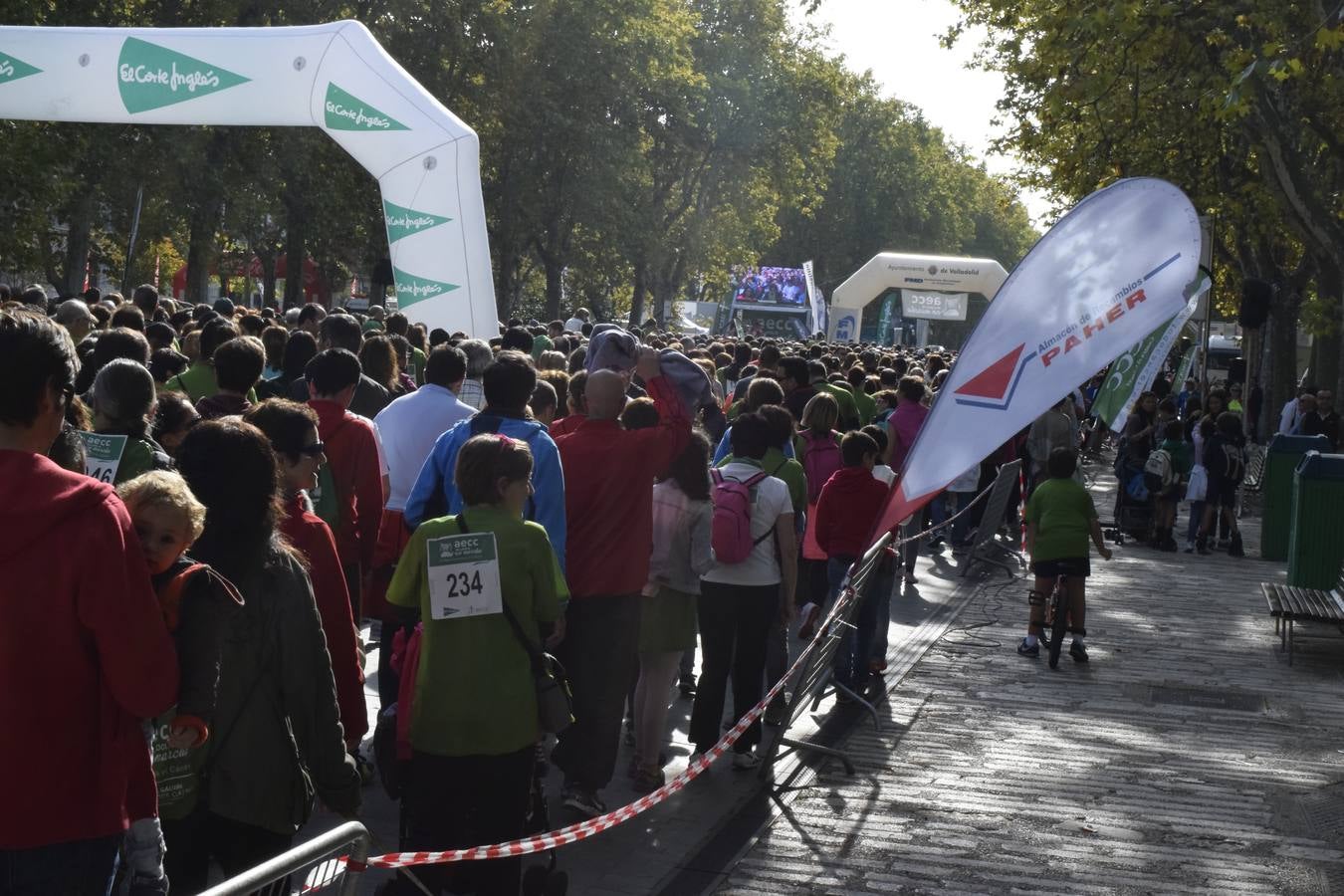 Marcha Contra el Cáncer 2015. Valladolid 4