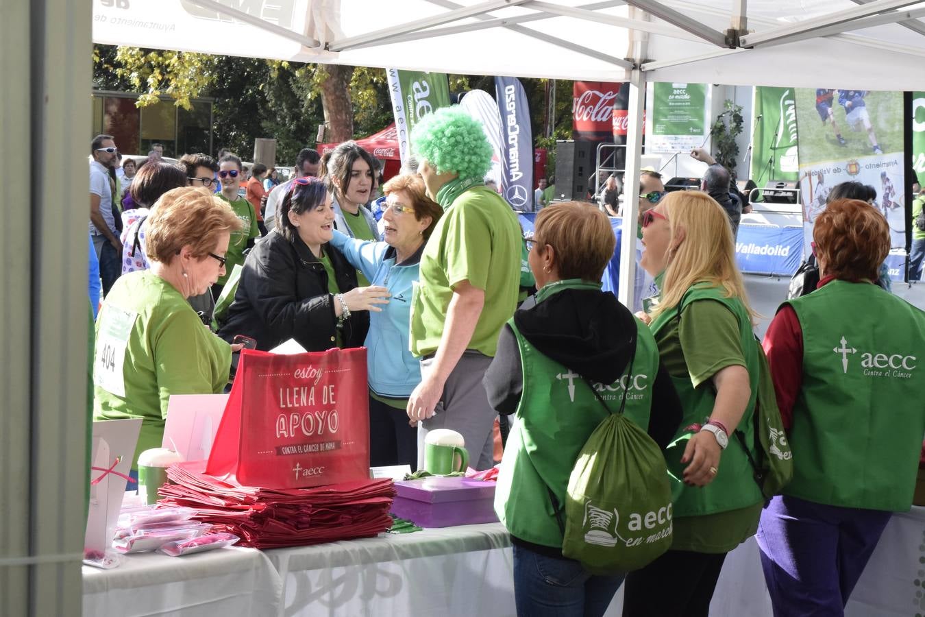 Marcha Contra el Cáncer 2015. Valladolid 5