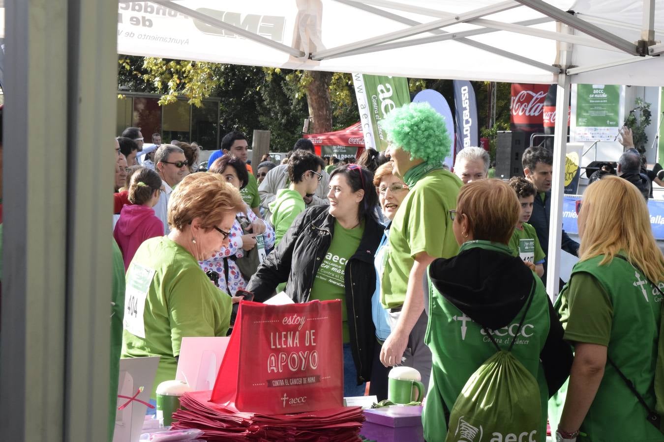 Marcha Contra el Cáncer 2015. Valladolid 6