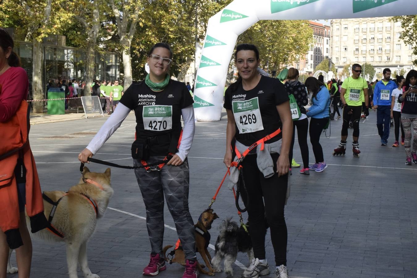 Marcha Contra el Cáncer 2015. Valladolid 8