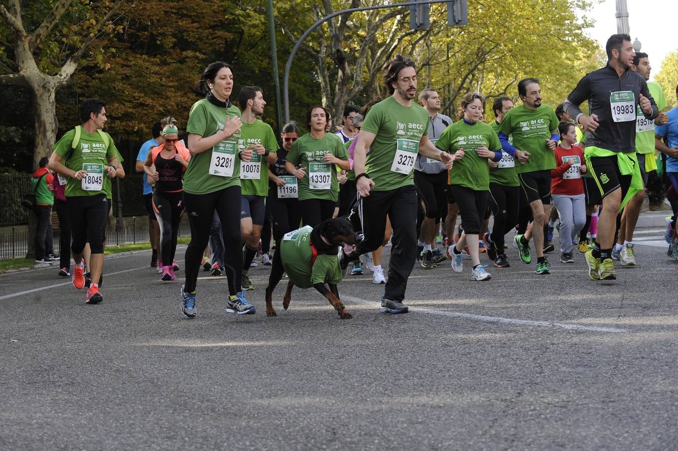 Marcha Contra el Cáncer 2015. Valladolid 11