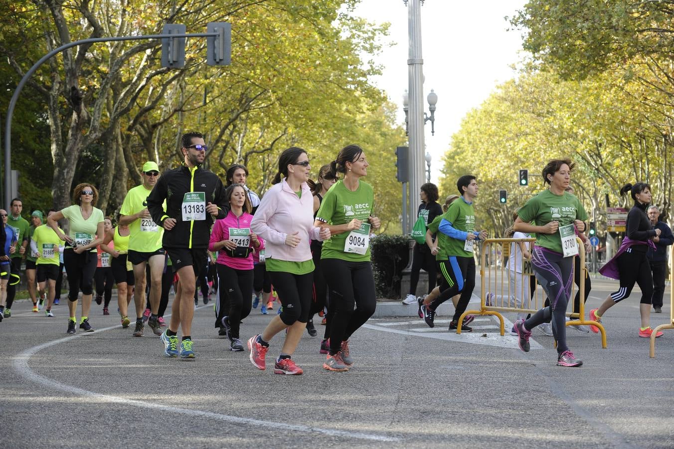 Marcha Contra el Cáncer 2015. Valladolid 11