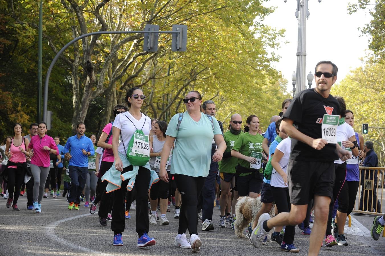 Marcha Contra el Cáncer 2015. Valladolid 11