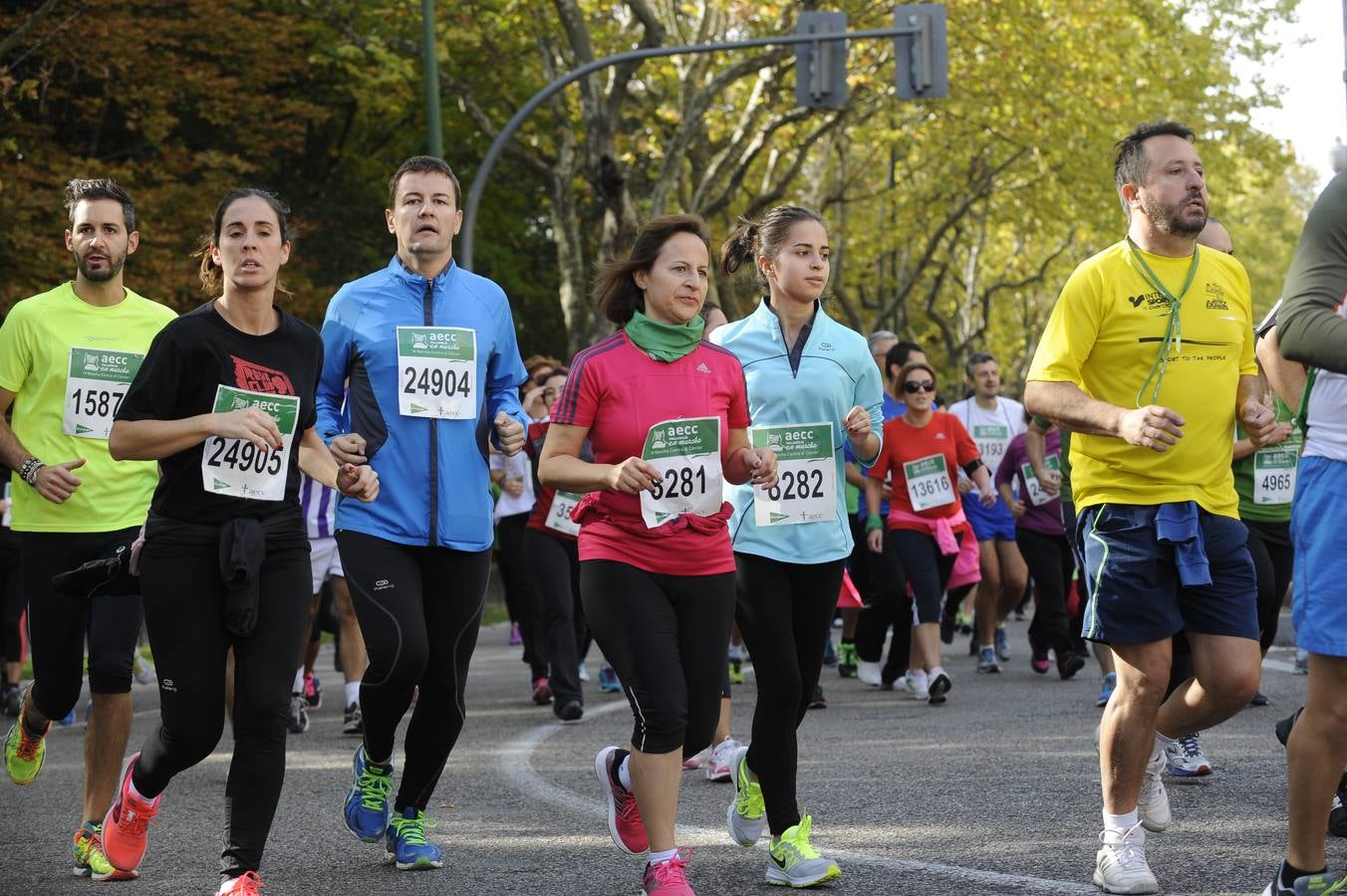 Marcha Contra el Cáncer 2015. Valladolid 11