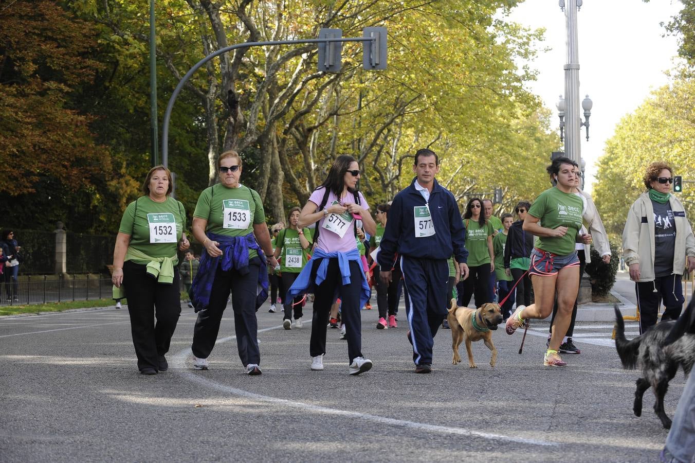 Marcha Contra el Cáncer 2015. Valladolid 13