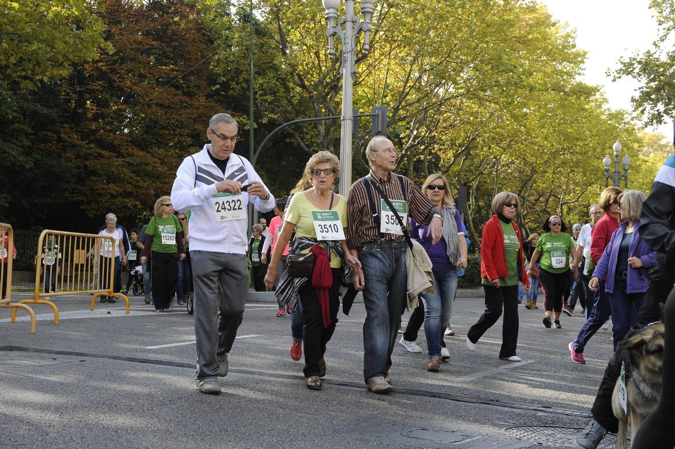 Marcha Contra el Cáncer 2015. Valladolid 14