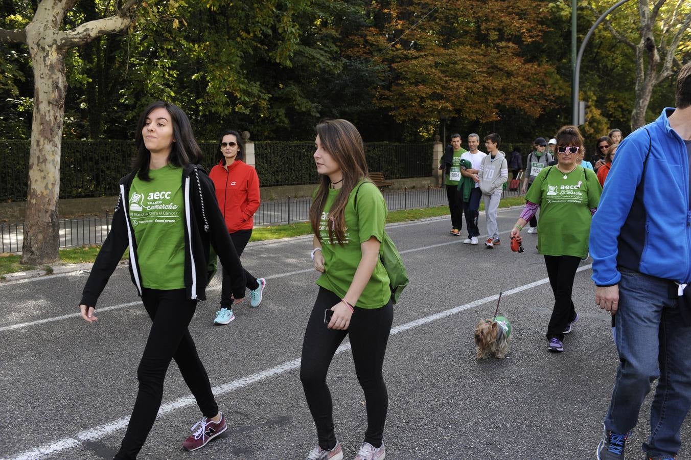 Marcha Contra el Cáncer 2015. Valladolid 16