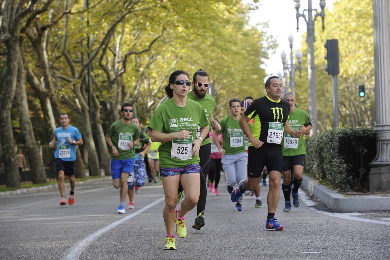 Marcha Contra el Cáncer 2015. Valladolid 17