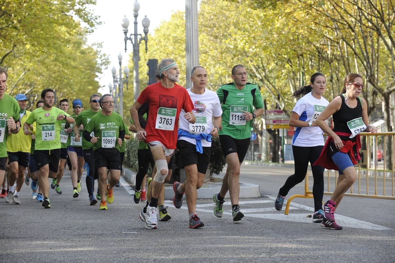 Marcha Contra el Cáncer 2015. Valladolid 18