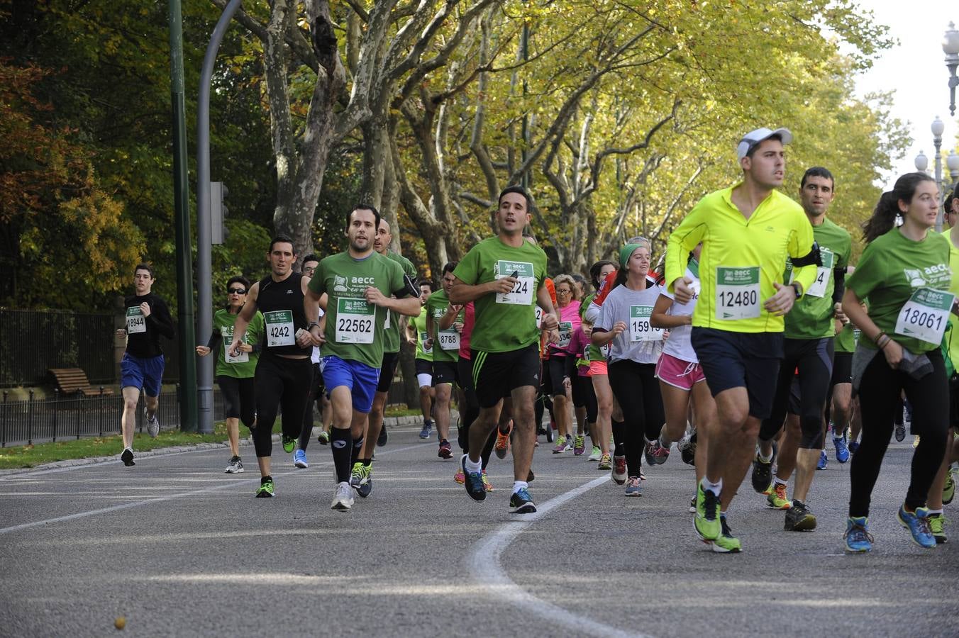 Marcha Contra el Cáncer 2015. Valladolid 18