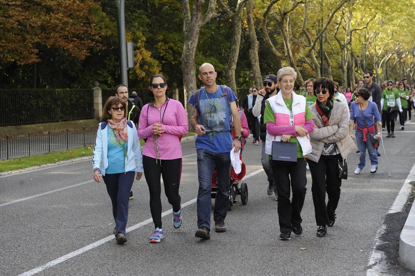 Marcha Contra el Cáncer 2015. Valladolid 18