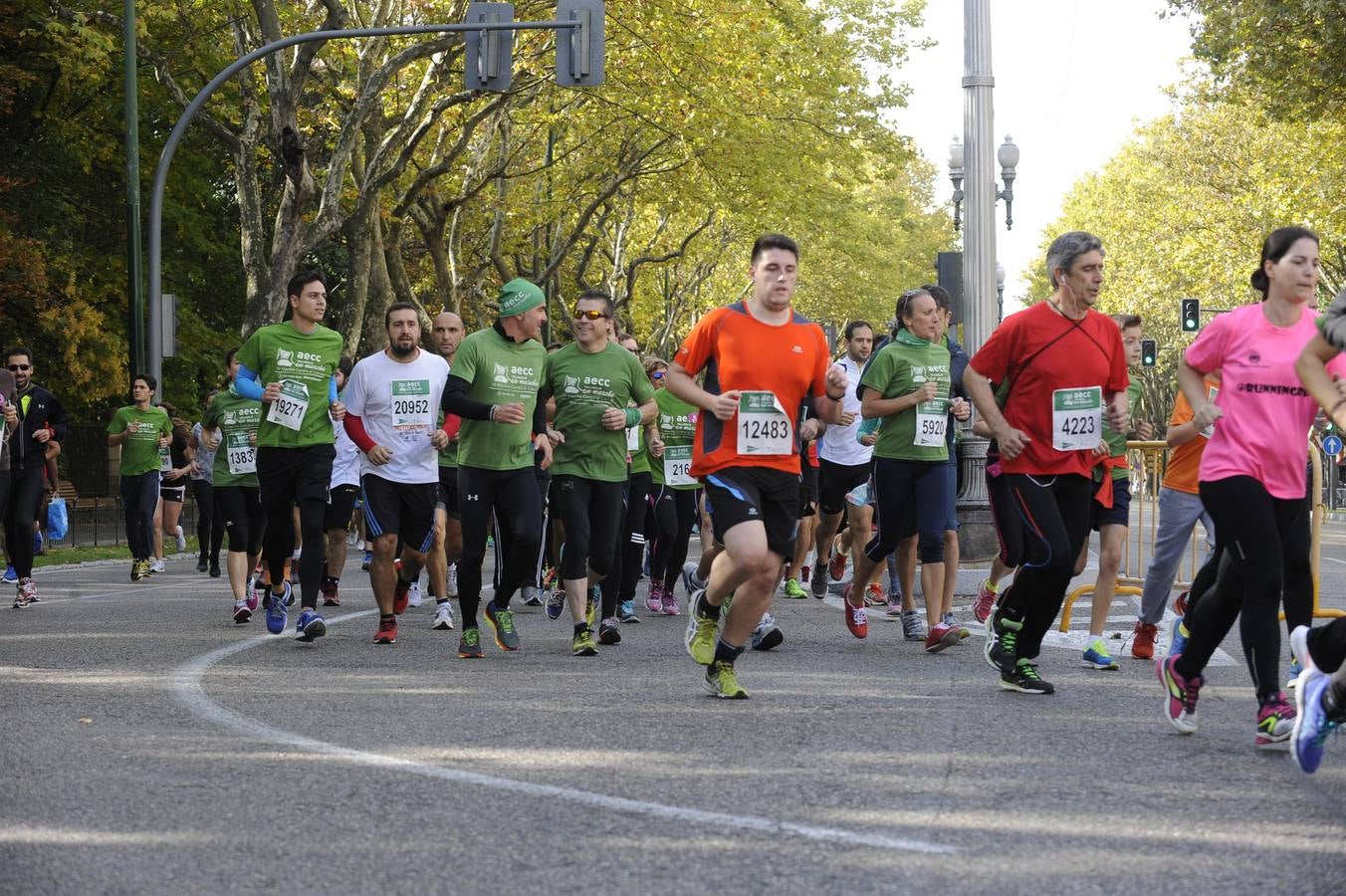 Marcha Contra el Cáncer 2015. Valladolid 18