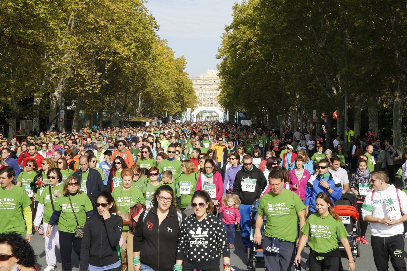 Marcha Contra el Cáncer 2015. Valladolid 21