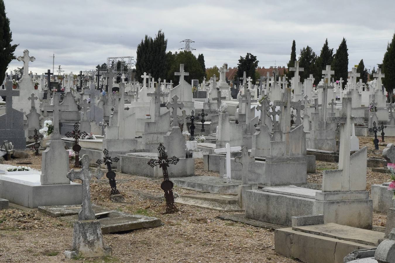 Preparativos para el Día de Todos los Santos en el cementerio de El Carmen de Valladolid