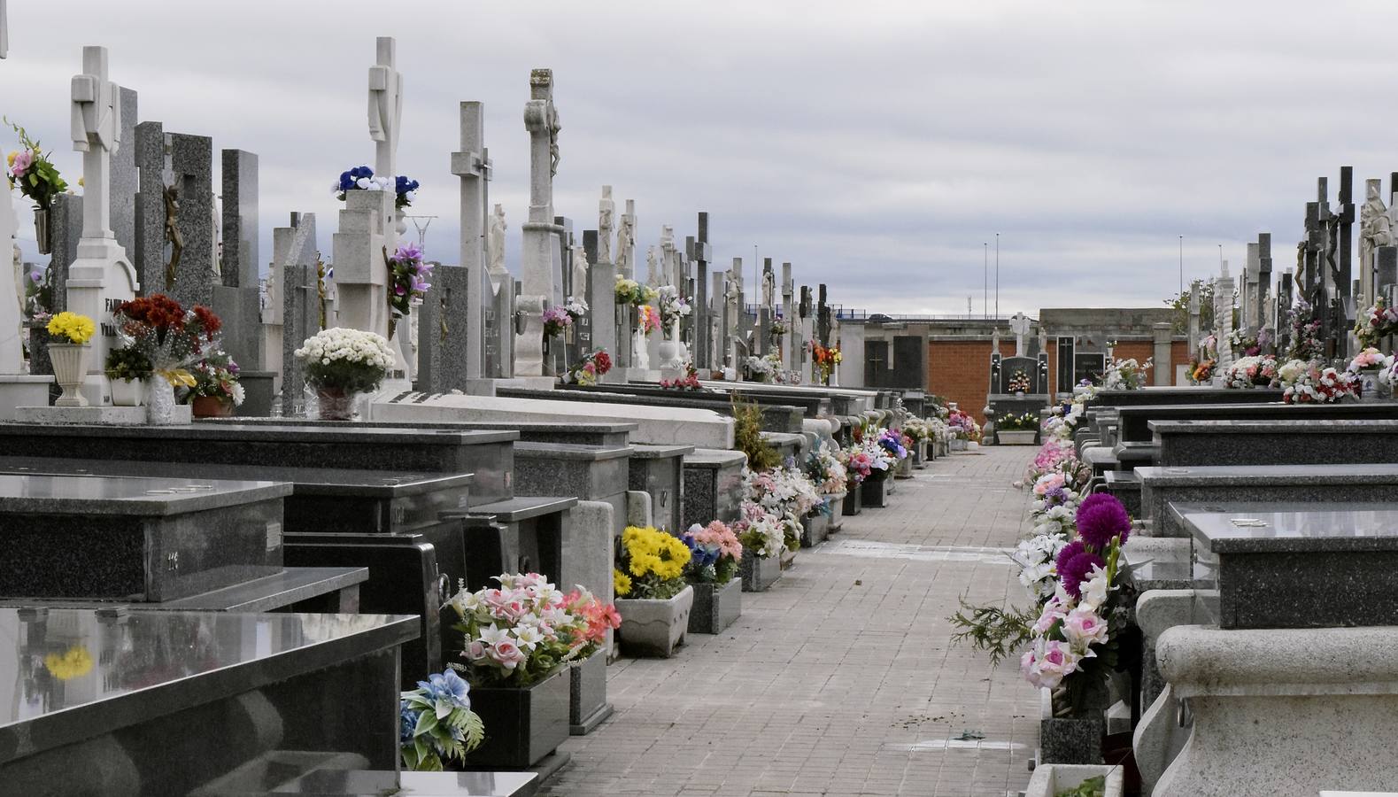 Preparativos para el Día de Todos los Santos en el cementerio de El Carmen de Valladolid