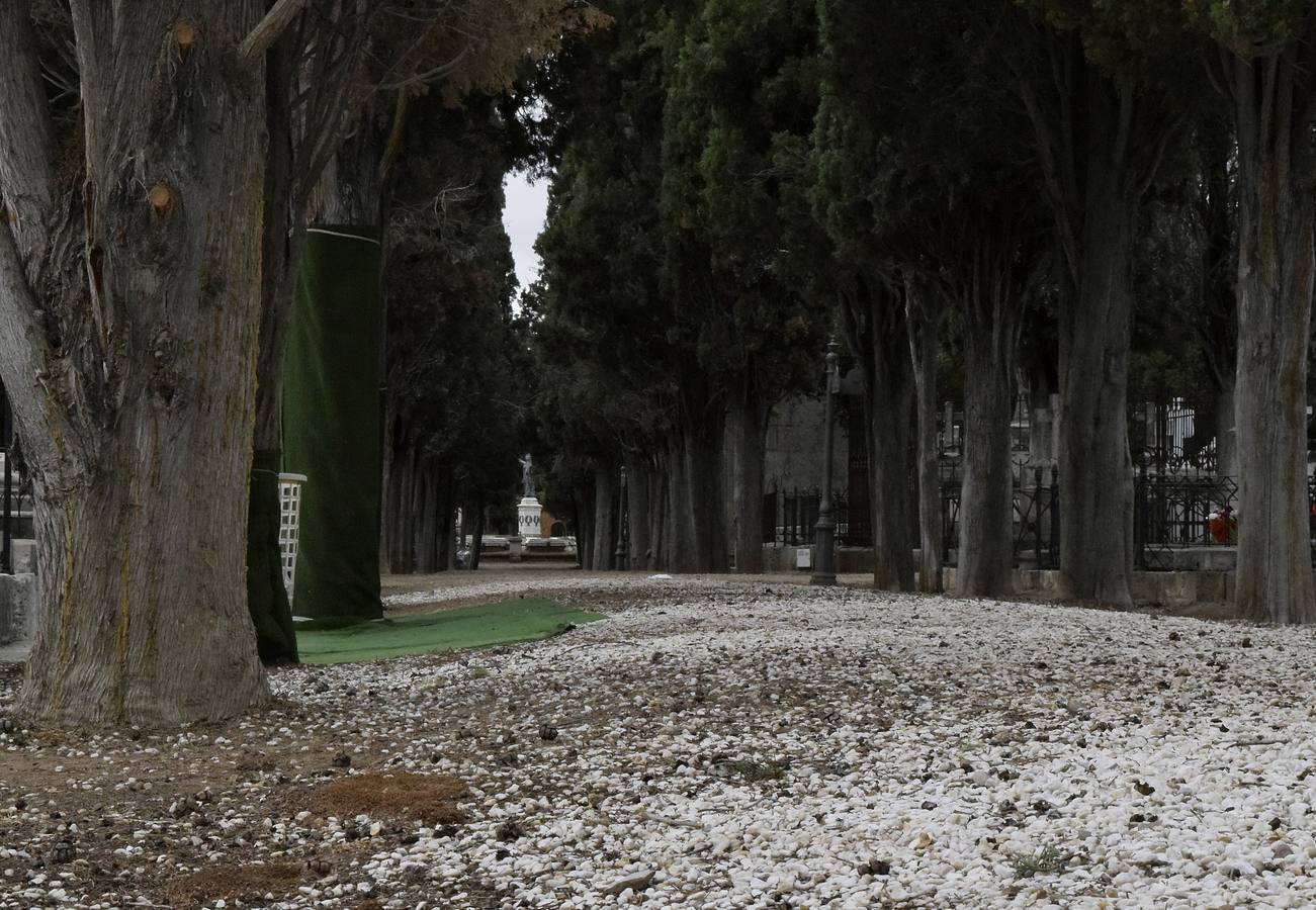 Preparativos para el Día de Todos los Santos en el cementerio de El Carmen de Valladolid