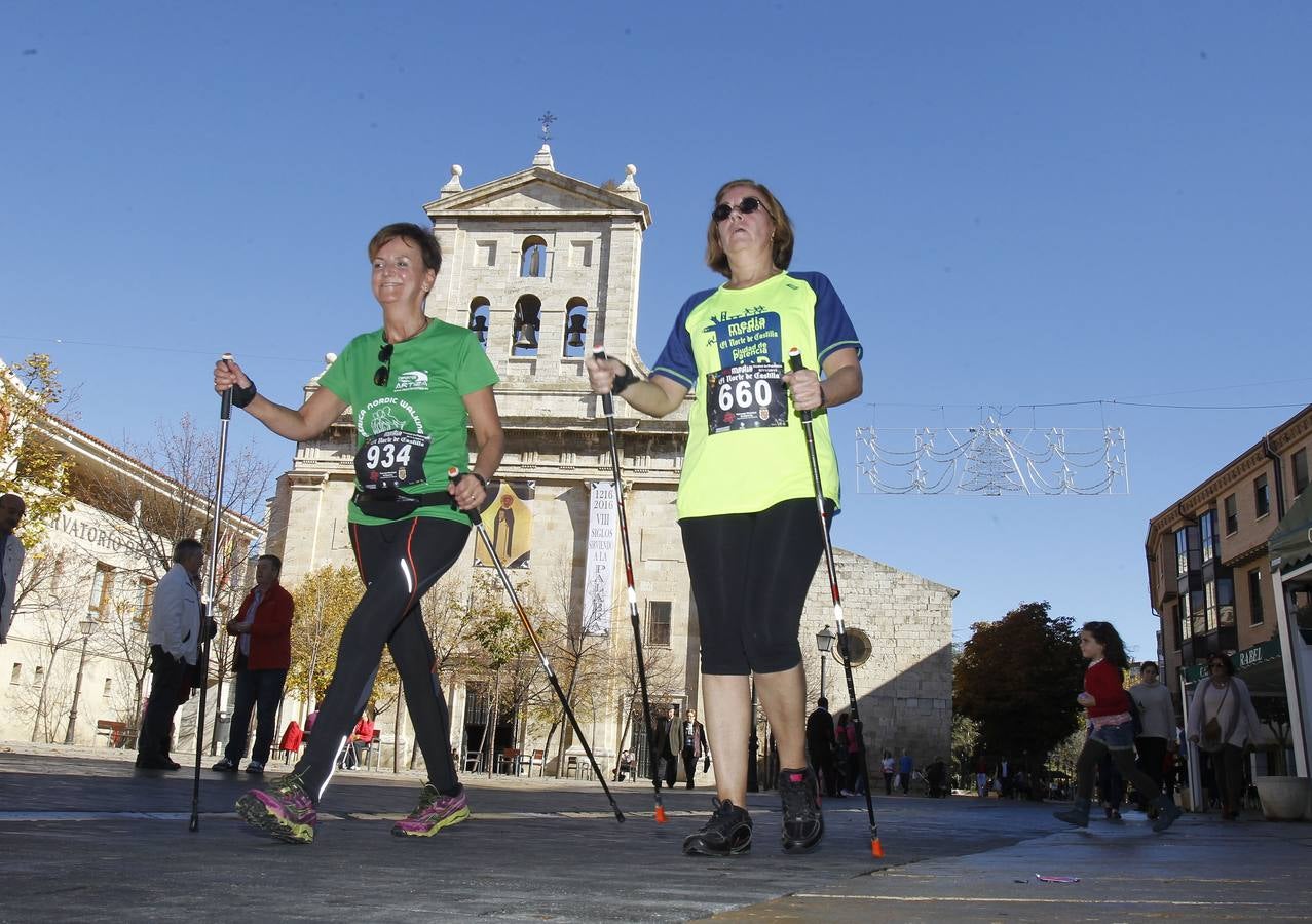 VI Media Maratón El Norte de Castilla Ciudad de Palencia (4/4)