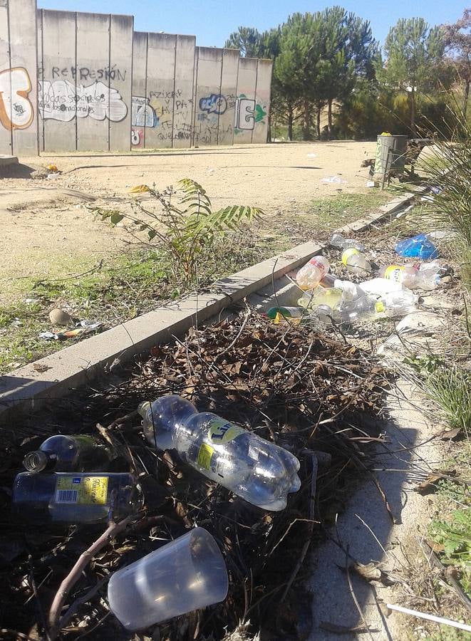 Restos de botellón en Parquesol