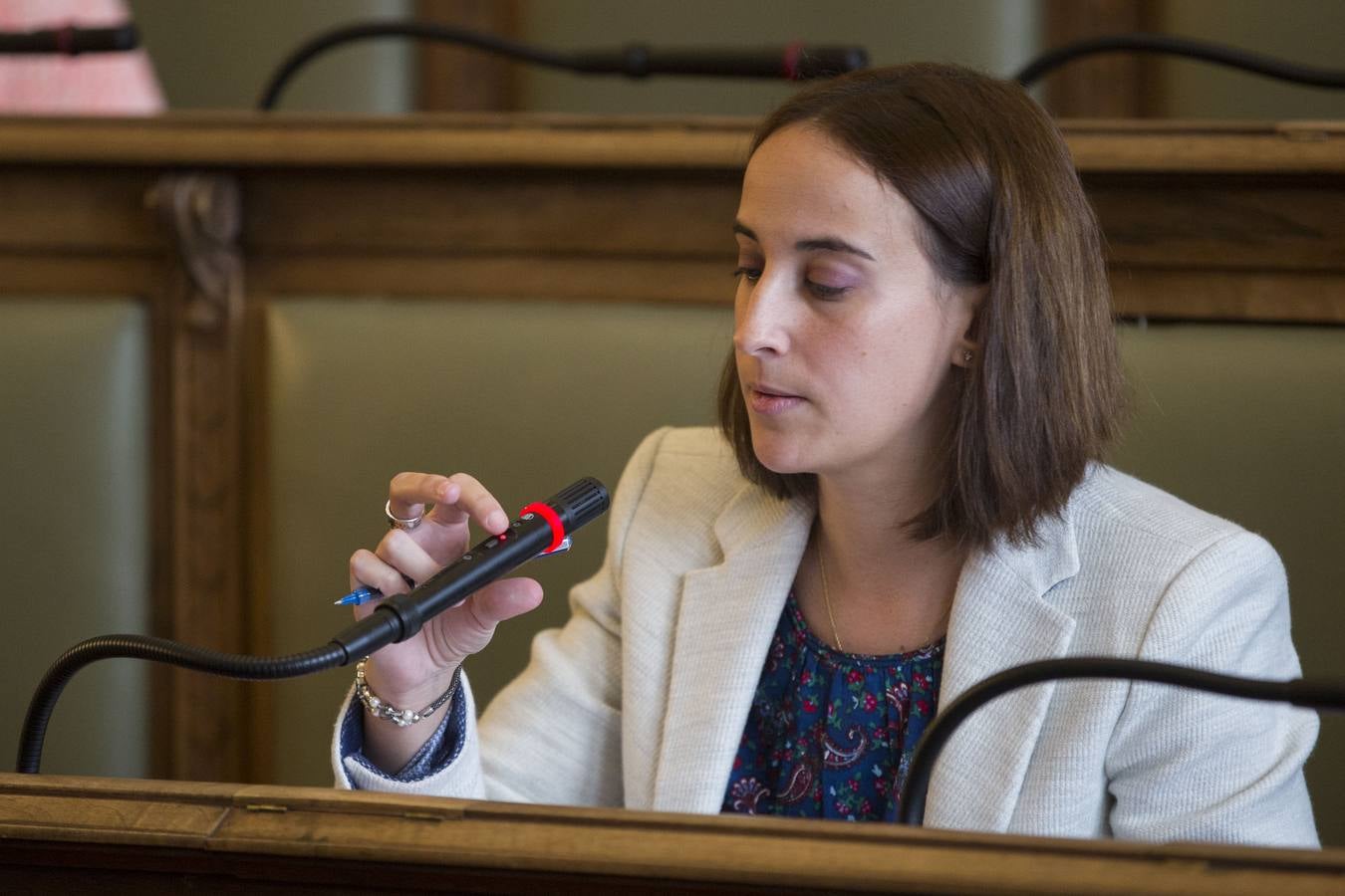 Pleno en el Ayuntamiento de Valladolid