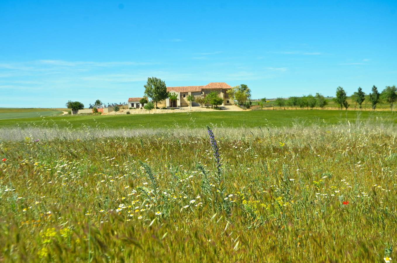 Ermita de nuestra Señora de Viloria, en Cigales (Valladolid).