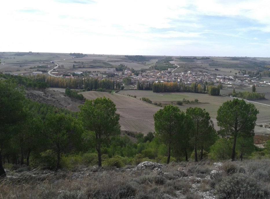 Encinas de Esgueva (Valladolid).