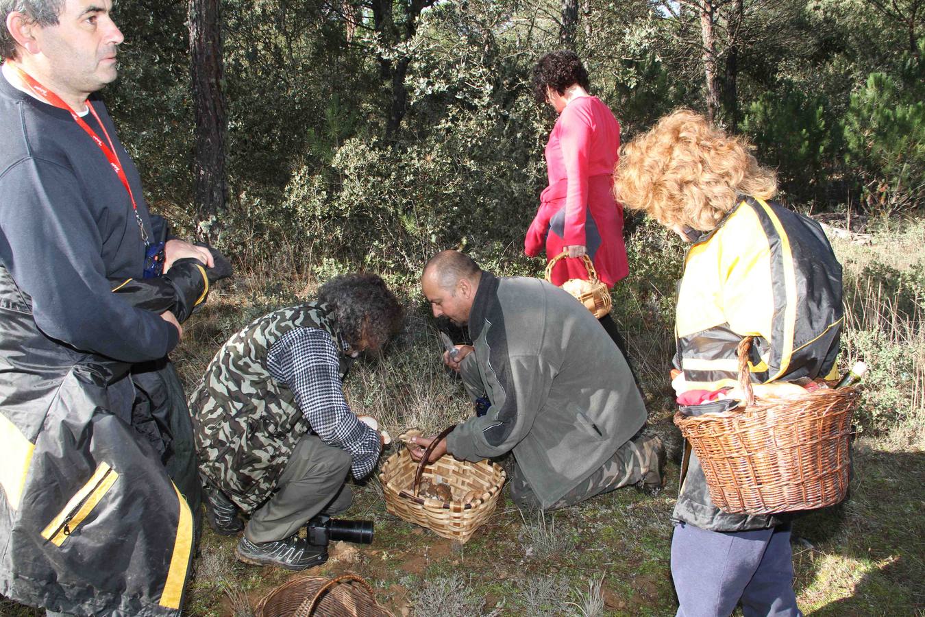 III Jornadas micológicas en Quintanilla de Onésimo (2/2)