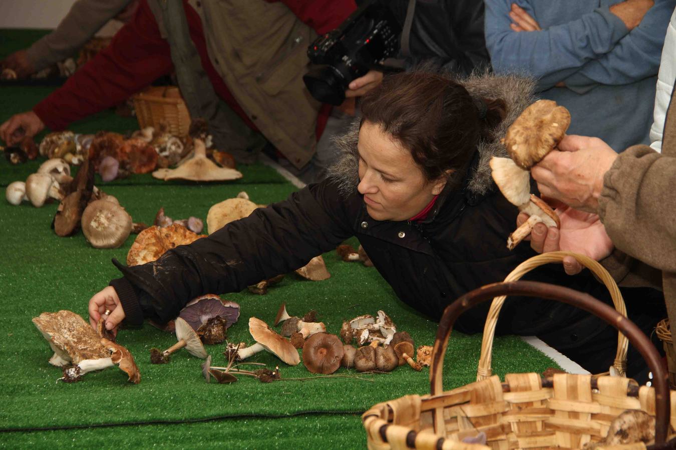 III Jornadas micológicas en Quintanilla de Onésimo (2/2)