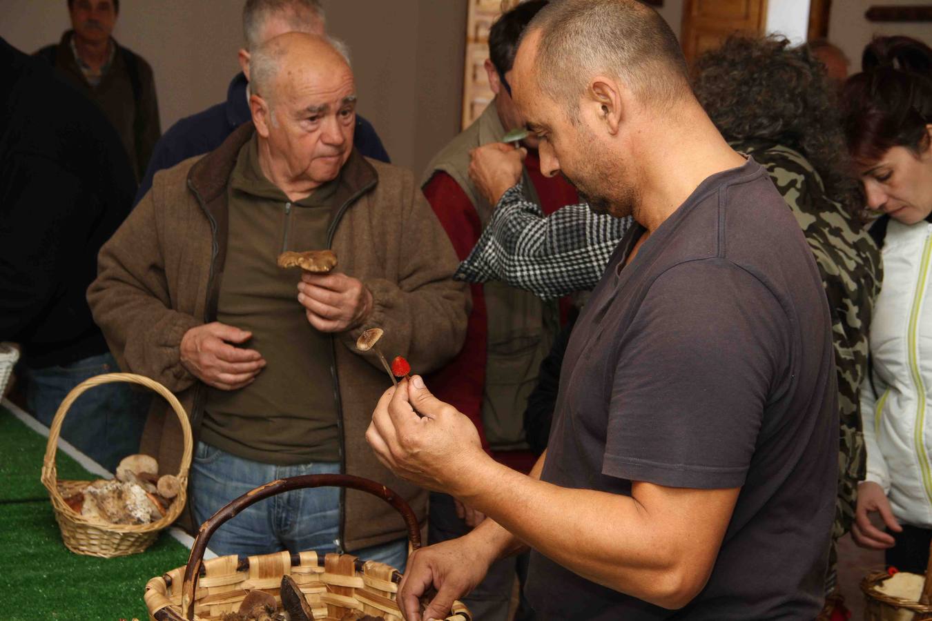 III Jornadas micológicas en Quintanilla de Onésimo (1/2)