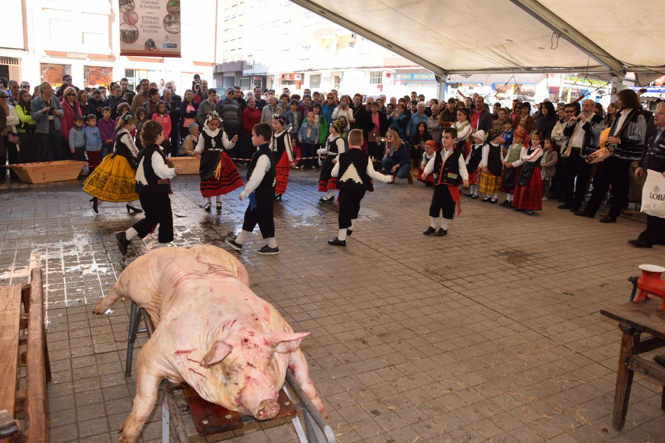 Fiesta de la matanza en Guardo (Palencia)