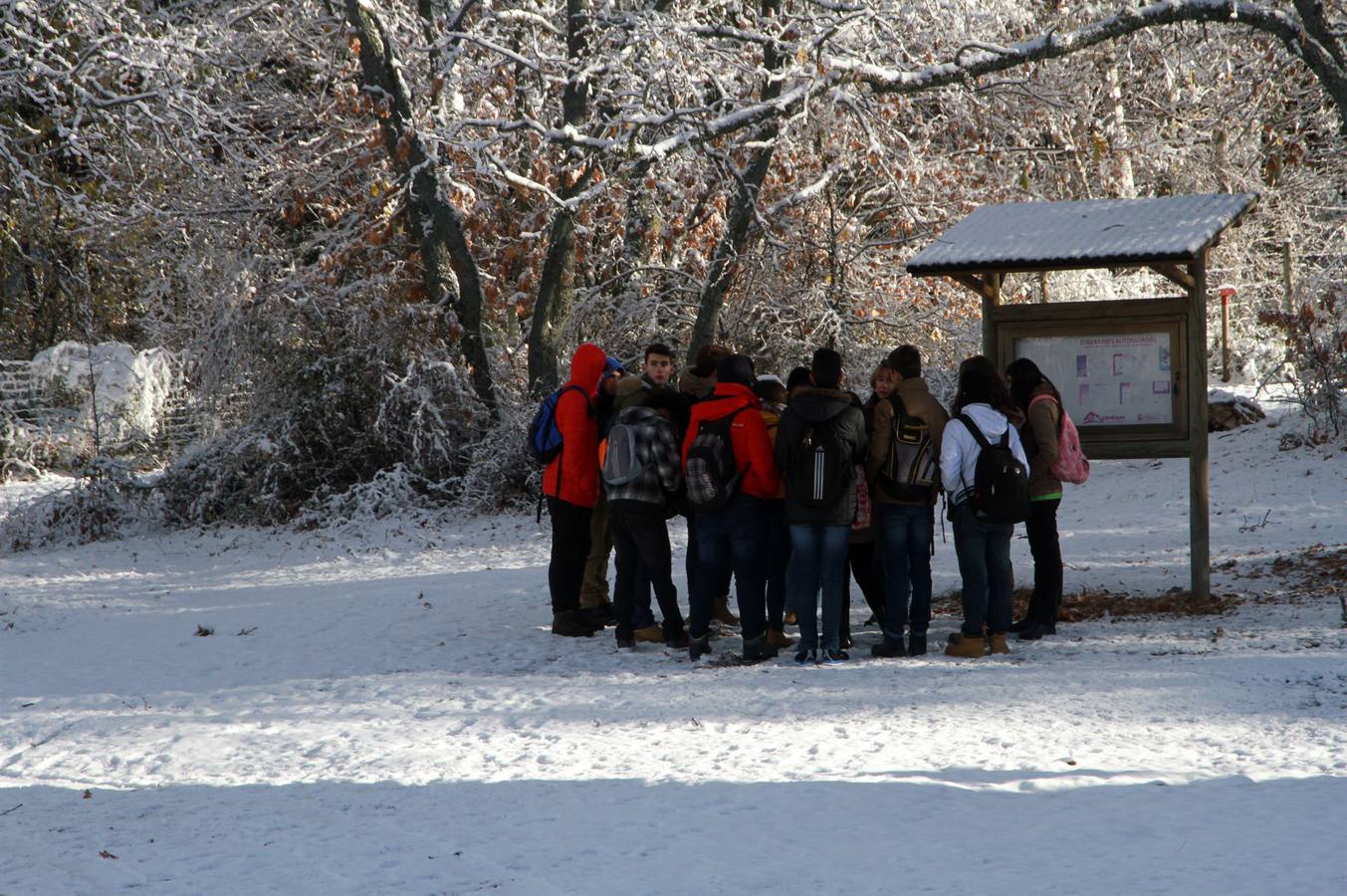 Segovia recibe las primeras nieves de la temporada