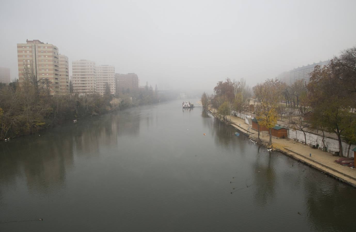 Niebla en Valladolid