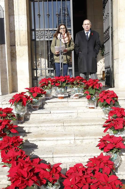 Celebración del Día Mundial del Sida en Palencia
