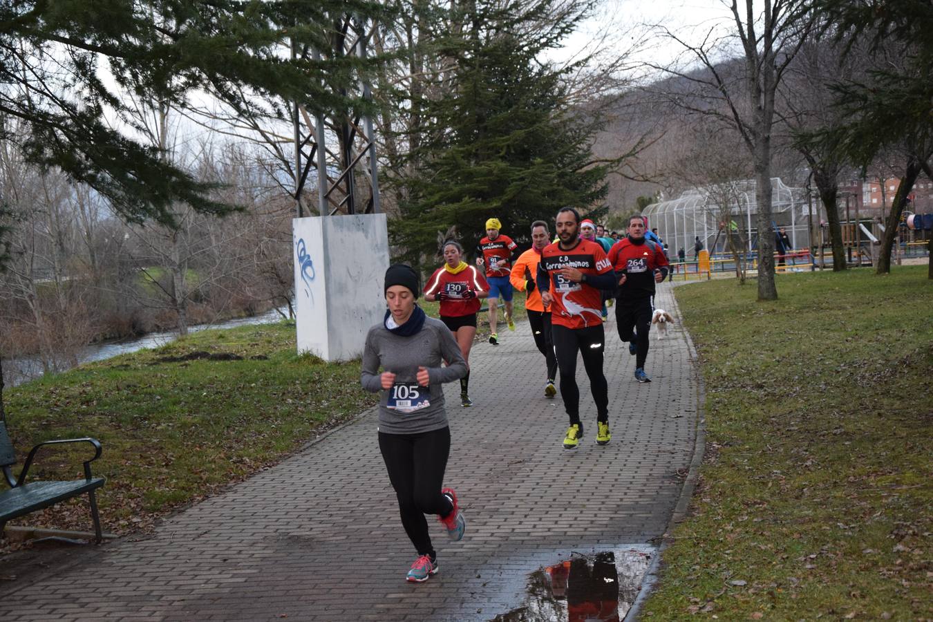 San Silvestre de Guardo 2015 (1/2)