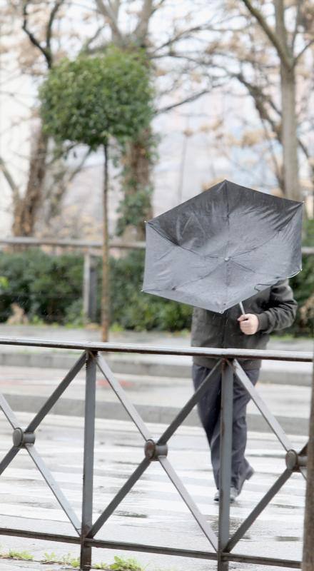 Temporal de lluvia y viento en Valladolid