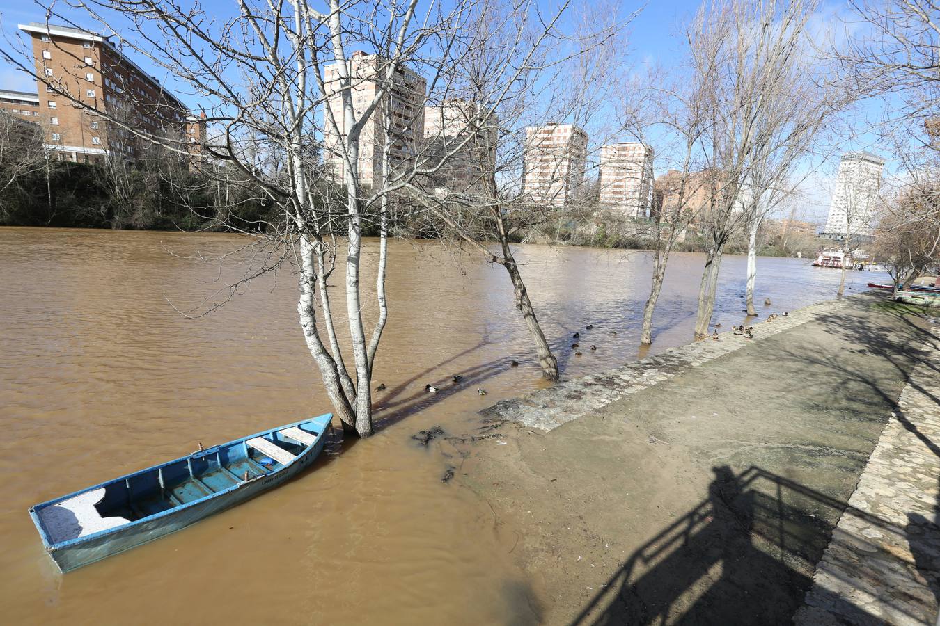 Crecida del río Pisuerga a su paso por Valladolid