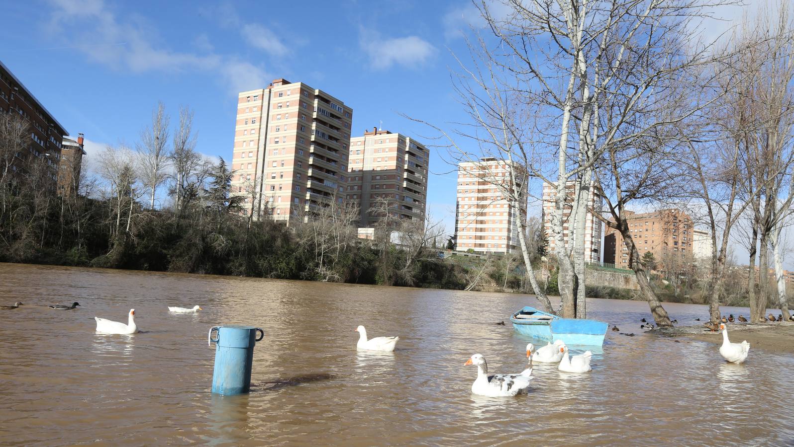 Crecida del río Pisuerga a su paso por Valladolid