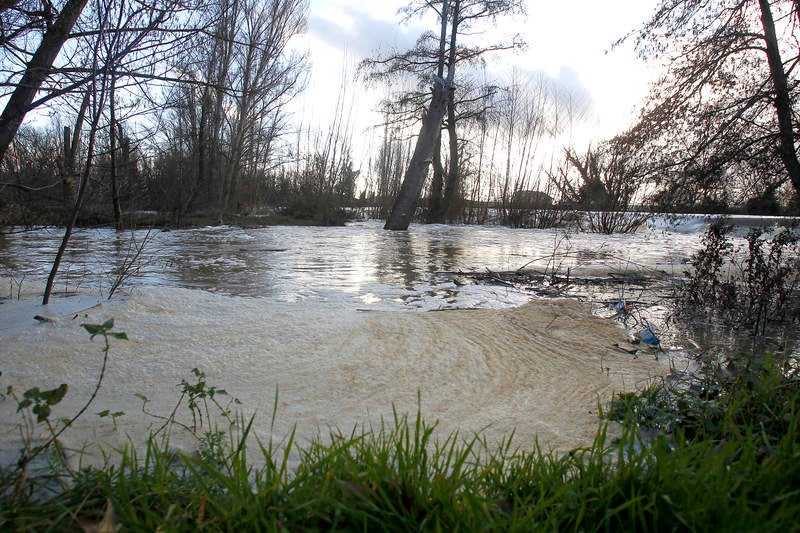 Crecida del río Carrión a su paso por Palencia