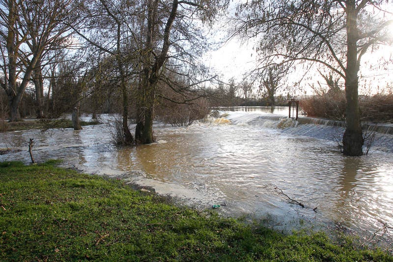 Crecida del río Carrión a su paso por Palencia
