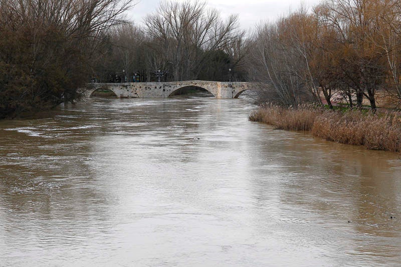 Crecida del río Carrión a su paso por Palencia